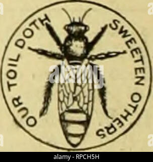 . American bee journal. La cultura delle api; le api. Quattro Celluloide Regina=pulsanti libero .^ COME PREMIUM J^ per averci inviato un nuovo abbonato di American Bee ufficiale per un periodo di tre mesi con 30 centesimi, si posta di quattro di questi graziosi bottoni per indossare il cappotto-bavero. (È possibile indossare uno e dare agli altri per i bambini.) la regina ha una sfumatura dorata. Questa offerta è resa solo per il nostro presente regolarmente agli abbonati. Nota.-un lettore scrive: *"ho tutti i motivi per credere che sarebbe una buona idea per ogni apicoltore di indossare uno [dei pulsanti] come esso causerà la gente a fare domande abou Foto Stock