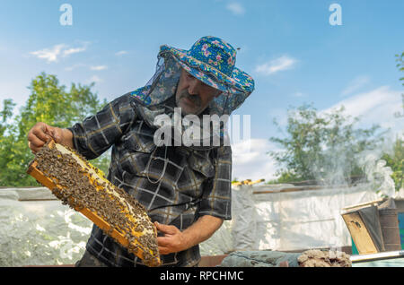 Outdoor ritratto di contadini ucraini di ispezionare il telaio da hive nel proprio cantiere di api Foto Stock