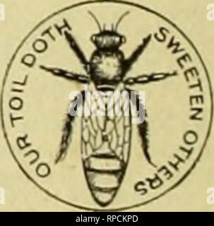 . American bee journal. La cultura delle api; le api. Quattro Celluloide Regina=pulsanti libero .^ COME PREMIUM J^ per averci inviato un nuovo abbonato al Bee ufficiale per il bilancio di quest'anno, con 30 centesimi, si posta di quattro di questi graziosi bottoni per indossare il cappotto-bavero. (È possibile indossare uno e dare agli altri per i bambini.) la regina ha una sfumatura dorata. Questa offerta è resa solo per il nostro presente regolarmente agli abbonati. Nota.-un lettore scrive: *"ho tutti i motivi per credere che sarebbe una buona idea per ogni apicoltore di indossare uno [dei pulsanti] come esso causerà la gente a fare domande Foto Stock