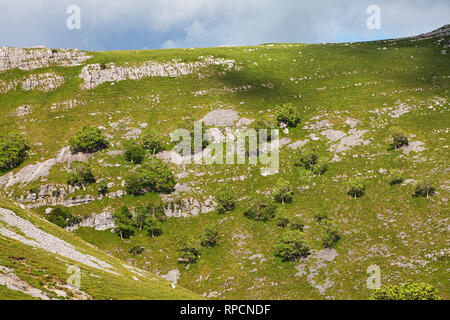 Creste calcaree sopra Gordale Scar calcare burrone vicino Malham Yorkshire Dales National Park nello Yorkshire Inghilterra UK Luglio 2016 Foto Stock