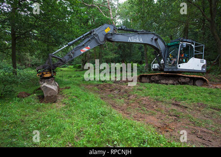 Digger coinvolti nel flusso di lavoro di restauro Wootton New Forest National Park Hampshire REGNO UNITO Inghilterra Agosto 2016 Foto Stock