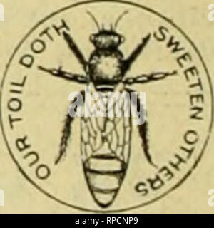 . American bee journal. La cultura delle api; le api. Quattro Celluloide Regina=pulsanti libero .^ COME PREMIUM J^ per averci inviato un nuovo abbonato al Bee ufficiale per il saldo di tliis anno, con 40 centesimi, si posta di quattro di questi graziosi pulsanti per indossare il cappotto tVie-bavero. (È possibile indossare uno e dare agli altri per i bambini.) la regina ha una sfumatura dorata. Questa offerta è itiade solo al nostro presente regolarmente agli abbonati. Nota.-un lettore scrive: "Ho tutti i motivi per credere che sarebbe una buona idea per ogni apicoltore di indossare onelof i pulsanti] come esso causerà la gente chiedere que Foto Stock