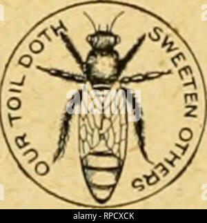 . American bee journal. La cultura delle api; le api. Quattro Celluloide Regina=bottoni Free come PREIVIIUIVI. Per inviare un nuovo abbonato al Bee ufficiale per il bilancio di quest'anno, con 50 centesimi, si posta di quattro di questi graziosi ma- tonnellate per indossare il cappotto-bavero. (È possibile indossare uno e dare agli altri per i bambini.) la regina ha una sfumatura dorata. Questa offerta è resa solo per il nostro presente regolarmente agli abbonati. Nota.-un lettore scrive: " Ho tutti i motivi per credere che sarebbe una buona idea per ogni beel<eeper indossare uno [dei pulsanti] come esso causerà la gente chiedere q Foto Stock