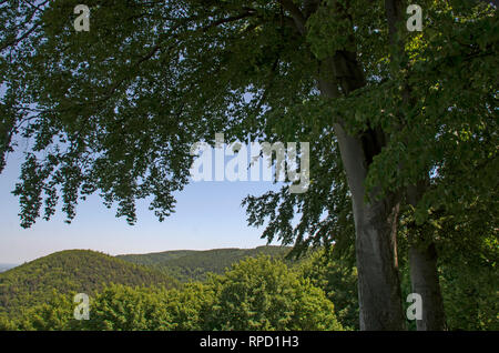 Blick vom Großen Burgberg, Bad Harzburg, Harz, Niedersachsen, Deutschland Foto Stock