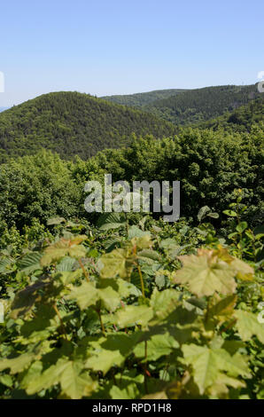 Blick vom Großen Burgberg, Bad Harzburg, Harz, Niedersachsen, Deutschland Foto Stock