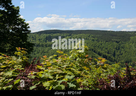 Blick vom Großen Burgberg, Bad Harzburg, Harz, Niedersachsen, Deutschland Foto Stock