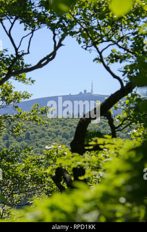 Blick vom großen Burgberg auf den Brocken, Bad Harzburg, Harz, Niedersachsen, Deutschland Foto Stock