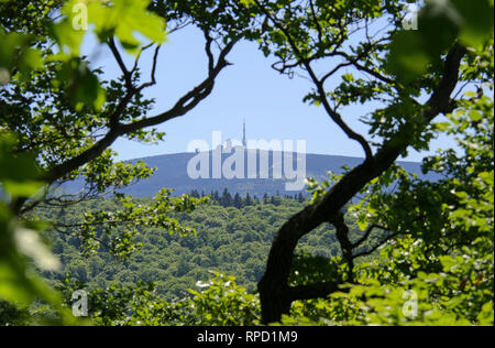 Blick vom großen Burgberg auf den Brocken, Bad Harzburg, Harz, Niedersachsen, Deutschland Foto Stock