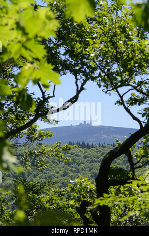 Blick vom großen Burgberg auf den Brocken, Bad Harzburg, Harz, Niedersachsen, Deutschland Foto Stock