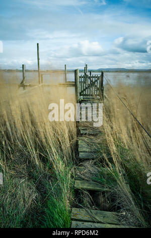 Un pontile in legno sul fiume Severn. Foto Stock