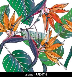 Doodle floreale sfondo tropicale nel vettore con doodle colorato modello senza giunture. Brillante fiori di paradiso verde con foglie di banano. Vettore pa etnica Illustrazione Vettoriale