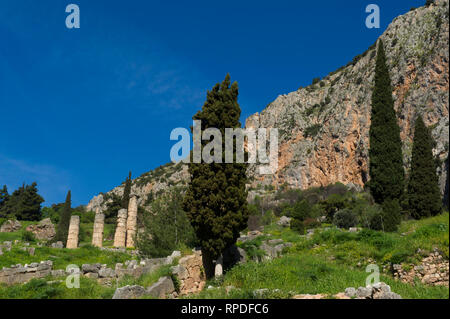 Il romano Agora, resti di antiche Delphi, Grecia Foto Stock