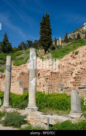 Il romano Agora, resti di antiche Delphi, Grecia Foto Stock