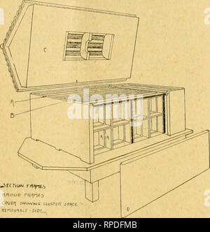 . American bee journal. La cultura delle api; le api. 130 AMERICAN BEE JOURNAL 1 marzo 1900. Per i lati e il retro e tra essi ed il miele sec- tion-frames, sono hunj^^ Divisione-boards, sia in forma di un telaio con f^lass, o un leggero filo schermo ; in ogni caso destinati a rendere possibile la sec sezioni, e sono tutti ugualmente riparabile atid desiderabile. Se una grande colonia è prodotta da un ottimo letto queen o unendo sciami, come 1 parlare più tardi, uno sec-. zione-telaio su ciascun lato della covata-telai possono essere ri- mosso ; o entrambi, rendendo così- brood-camera di tutta la parte anteriore del t Foto Stock