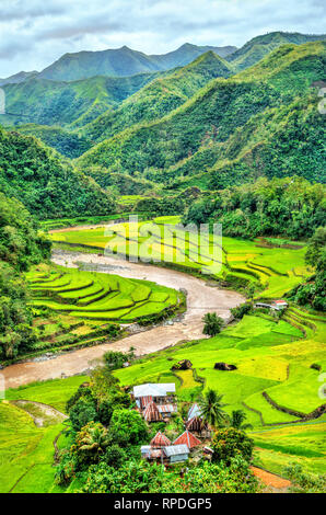 Mayoyao terrazze di riso, patrimonio mondiale dell'UNESCO in Ifugao, Filippine Foto Stock