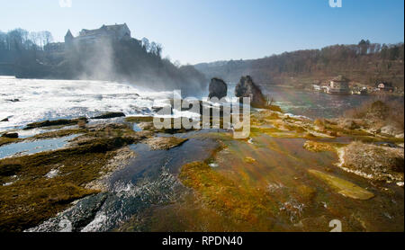 Le cascate del Reno a Sciaffusa in Svizzera Foto Stock