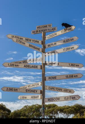 Crow seduto su una pietra miliare sign in il Nullabor dessert Foto Stock