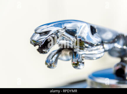 Mascotte del cofano Jaguar (Off MK1v) Foto Stock