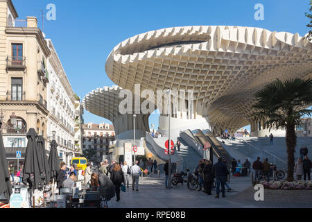 Il Metropol Parasol, una delle più grandi strutture in legno mai costruito nella città spagnola di Siviglia, in Andalusia Foto Stock