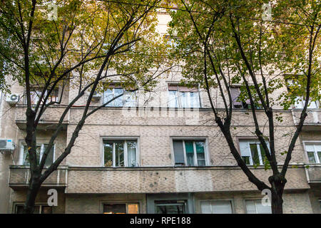 Close up di alberi di fronte all edificio con windows. A Belgrado, in Serbia. Foto Stock