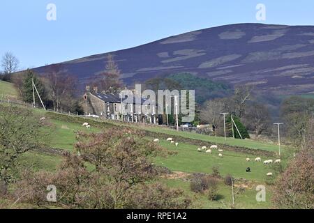 Kinder visto da di Birch Vale il serbatoio, vicino Hayfield, Derbyshire. Foto Stock