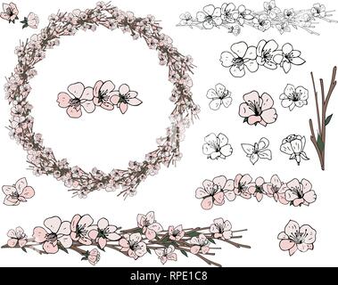 Corona dalla molla di fiori di Apple su sfondo bianco Illustrazione Vettoriale