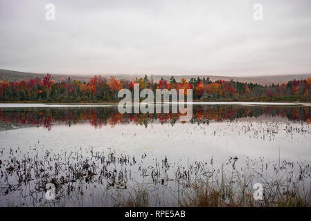 Autunno a colori che riflettono il gomito in stagno nelle White Mountains, New Hampshire Foto Stock