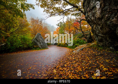 Curva stretta passano attraverso i contrabbandieri tacca, Vermont Foto Stock