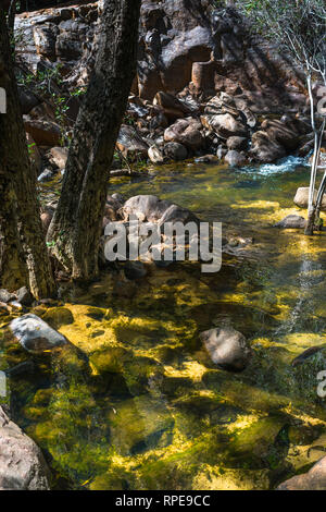 Acque cristalline a Nitmiluk Katherine Gorge National Park, il Territorio del Nord, l'Australia Foto Stock