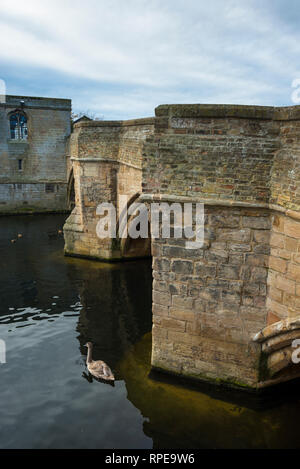 Fiume Great Ouse con la medievale St Leger il Ponte della Cappella a St Ives, Cambridgeshire, Inghilterra, Regno Unito. Foto Stock
