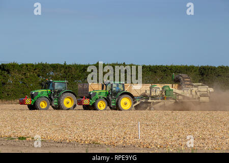 Aylesbury, Canterbury, Nuova Zelanda, 20 Febbraio 2019: cipolla una trincia e trattori John Deere la raccolta di cipolle in estate Foto Stock