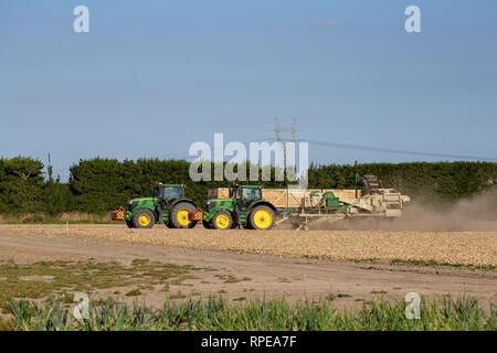 Aylesbury, Canterbury, Nuova Zelanda, 20 Febbraio 2019: cipolla una trincia e trattori John Deere la raccolta di cipolle in estate Foto Stock