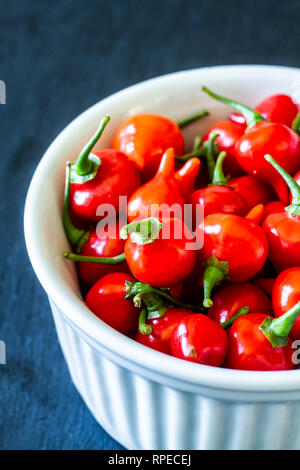 Biquinho rosso peperoncino (capsicum chinense) in una ciotola bianco. Foto Stock
