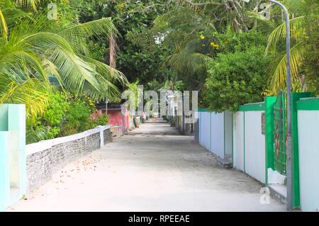 Una strada maldiviano con tipici edifici e alberi di palma (Ari Atoll, Maldive) Foto Stock