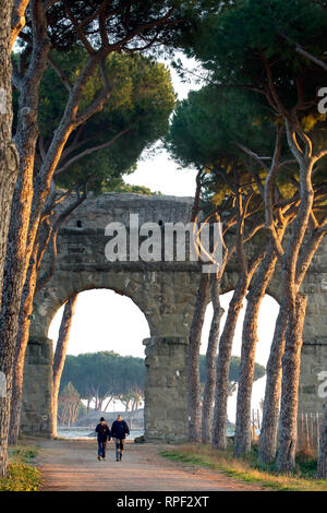 Roma - Acquedotto con alberi di pino nelle prime ore del mattino presso il Parco degli acquedotti. Foto Stock