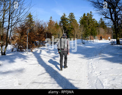 Febbraio 18, 2019: Brotterode/Grosser Inselsberg: escursionisti a piedi da Brotterode venendo verso il vertice della Grande Inselsberg. Foto: Thomas Eisenhuth | Utilizzo di tutto il mondo Foto Stock