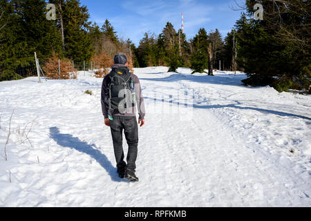 Febbraio 18, 2019: Brotterode/Grosser Inselsberg: escursionisti a piedi da Brotterode venendo verso il vertice della Grande Inselsberg. Foto: Thomas Eisenhuth | Utilizzo di tutto il mondo Foto Stock