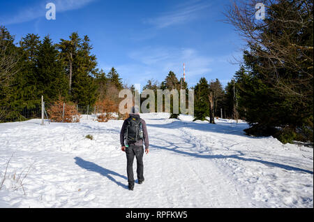 Febbraio 18, 2019: Brotterode/Grosser Inselsberg: escursionisti a piedi da Brotterode venendo verso il vertice della Grande Inselsberg. Foto: Thomas Eisenhuth | Utilizzo di tutto il mondo Foto Stock