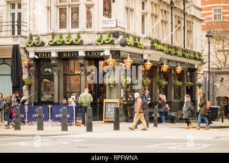 Il Red Lion un inglese tradizionale pub di Londra sull'angolo del Parlamento Street e Derby gate in London Whitehall Foto Stock