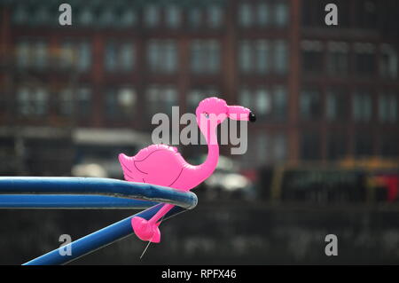 Uccello rosa a nave Foto Stock