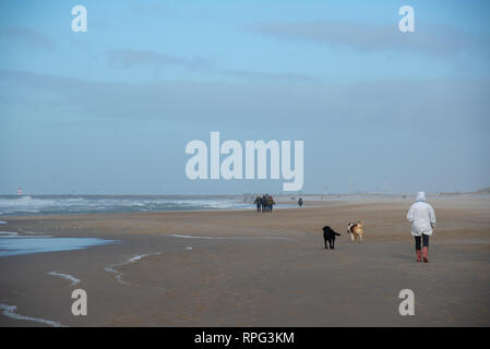 Le persone e i cani su una spiaggia in Olanda in una tempesta Foto Stock