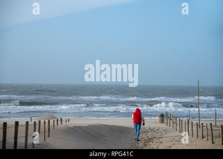 Uomo che cammina verso il mare in Olanda Foto Stock