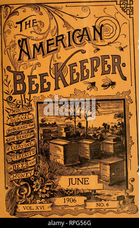 . La American bee keeper. Bee cultura; miele. . Si prega di notare che queste immagini vengono estratte dalla pagina sottoposta a scansione di immagini che possono essere state migliorate digitalmente per la leggibilità - Colorazione e aspetto di queste illustrazioni potrebbero non perfettamente assomigliano al lavoro originale. Falconer, N. Y. : W. T. Falconer Manfg. Co. Foto Stock