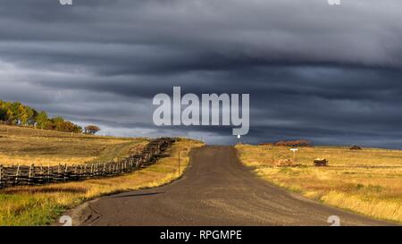 Strada sterrata a Hastings Mesa conduce al deserto e praterie, Ridgway Colorado Foto Stock