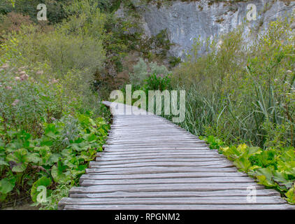 Uno dei tanti sentieri di legno che portano i visitatori tramite la bellezza del parco nazionale dei Laghi di Plitvice in Croazia Foto Stock