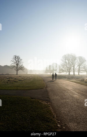 Due escursionisti early misty passeggiata mattutina nel Royal Bushy Park, Hampton Court, Londra Foto Stock