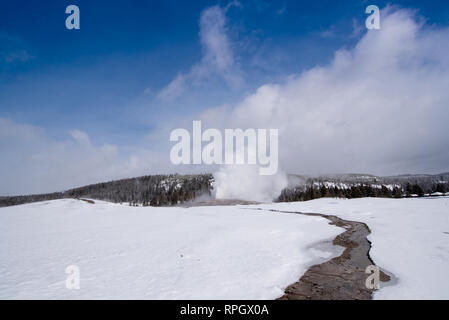 Geyser Old Faithful eruttando nel Parco Nazionale di Yellowstone durante l inverno Foto Stock