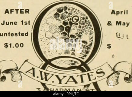 . American bee journal. La cultura delle api; le api. Chicago. Maggio 18.-Il volume degli scambi è molto stretto e consiste in concessionari buyine appena un po' di avere a portata di mano quando si consultò per l. Non c'è una mostra fatta di esso sui contatori, ecc. come nei mesi invernali, tutti di che è una condizione di seasonable. La voglia di gradi non sono abbondanti e continuare a portare da ugisc per libbra, secondo il gusto, stile e tutto il resto che va a fare un articolo di fantasia. Nulla fuori da questo grado vende a da i^'ic per libbra di meno con gradazioni di colore ambra portare da io@i2c per libbra. Estratto è meetingw Foto Stock