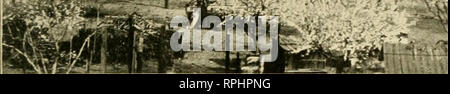 . American bee journal. La cultura delle api; le api. Aprile, 1913. 11' American Hee ufficiale ^^^mm^rnm ^-•. Un frutteto di alberi di mandorle- piuttosto l immutabile la qualità del miele, che rende così popolare con i migliori pasticceri.-Exchanf/e. Il Bij-Vanger o Bee-Pirate dell Africa. -Nel nostro settembre e novembre i numeri per 11112, abbiamo fatto menzione di bee-eating philanthus dell Europa e degli esperimenti condotti su dal celebre entomologo Fabre. Il sudafricano pollame, rivista pubblicata a Johannesburg, nel suo De- cember numero, contiene un articolo di G. B. Oettel su questi insetti : questo mare Foto Stock