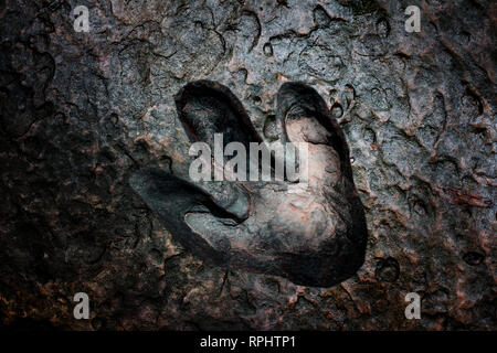Vera e propria impronta di dinosauro , della Thailandia. Foto Stock